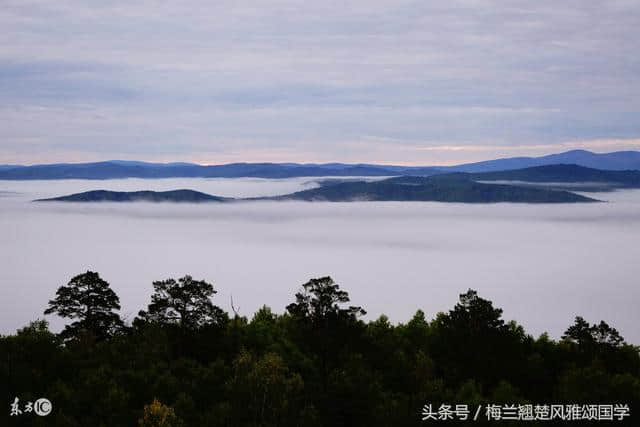 风雅颂诗词丨鹧鸪天丨新来一瘦红蕖落丨只住烟花蝴蝶丛