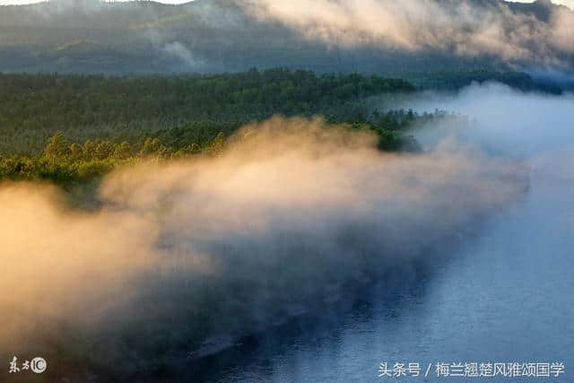 风雅颂诗词丨鹧鸪天丨新来一瘦红蕖落丨只住烟花蝴蝶丛