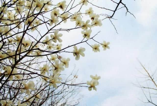 上联：花开自有花落日，请赐下联