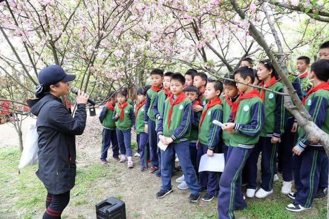 花重锦官 蜀韵中华