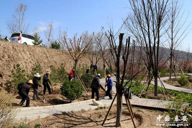 秦安凤山景区暖风熏得游人醉