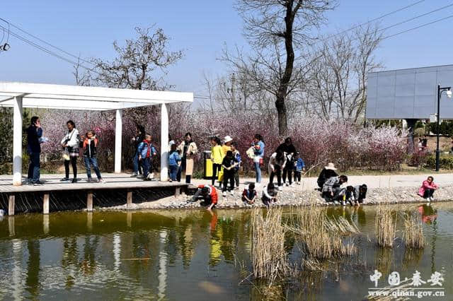 秦安凤山景区暖风熏得游人醉