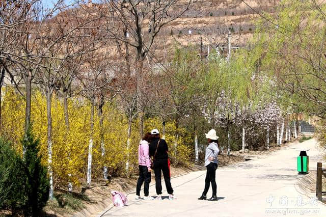 秦安凤山景区暖风熏得游人醉