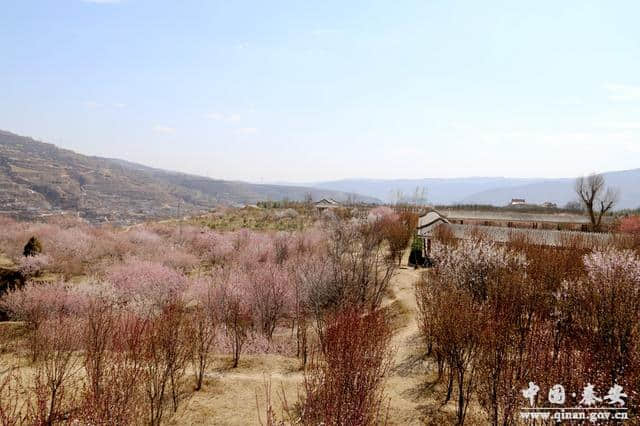 秦安凤山景区暖风熏得游人醉