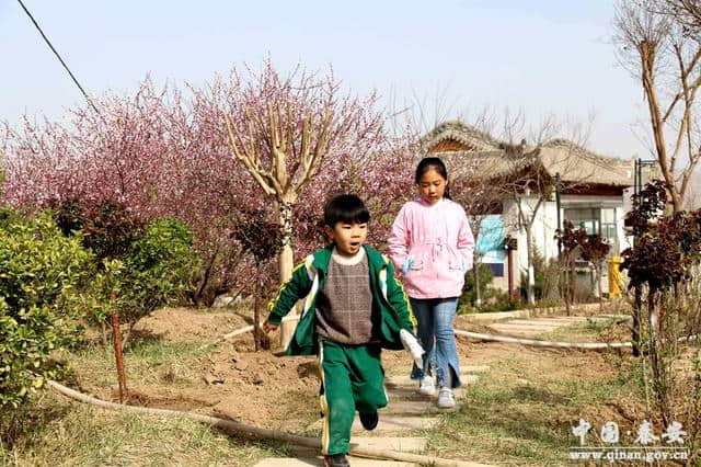 秦安凤山景区暖风熏得游人醉