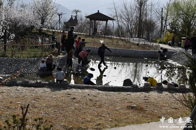 秦安凤山景区暖风熏得游人醉