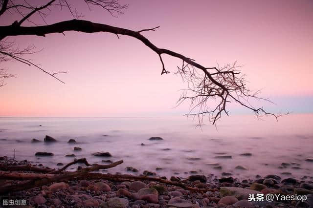 「每日一曲心灵随笔」花自飘零水自流，一种相思，两处闲愁