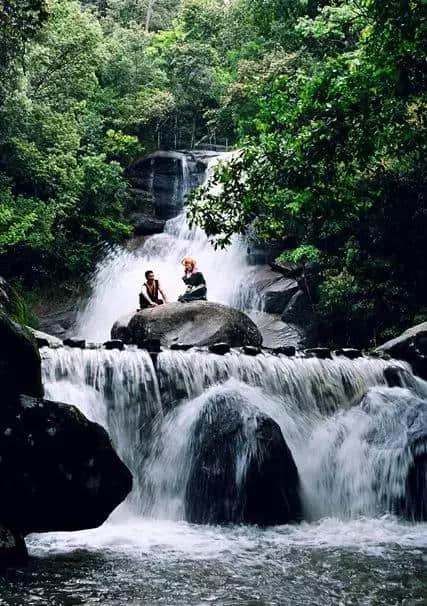 顺昌华阳山首届彩色旅游嘉年华盛大开幕！门票送不停