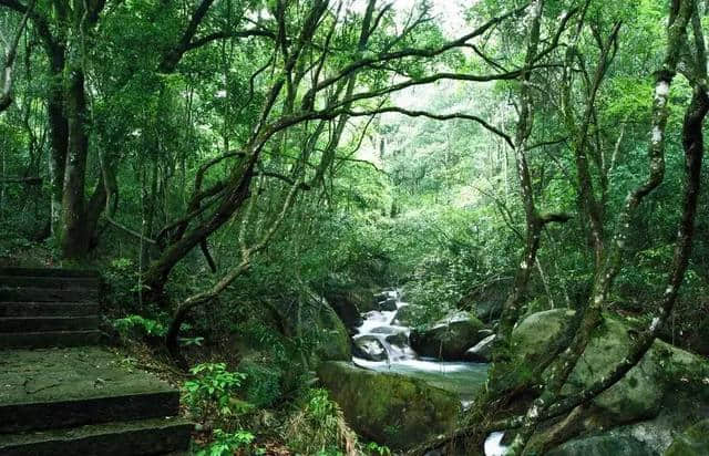 顺昌华阳山首届彩色旅游嘉年华盛大开幕！门票送不停