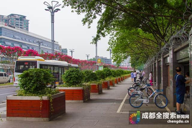 重现“花重锦观城”盛景 成都街头美不胜收