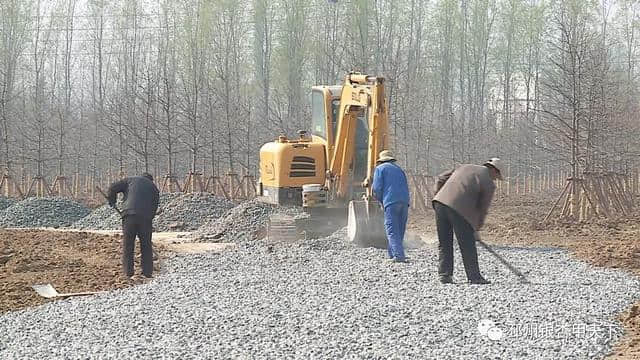 “花千树”是神马？好美！就在邳州新城区！