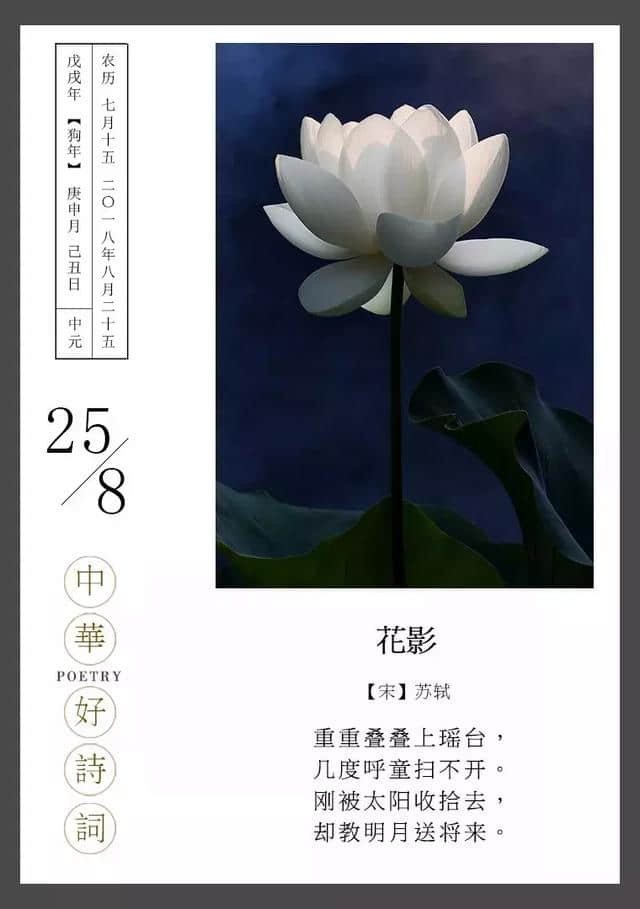 每日一诗：苏轼居然杠上花