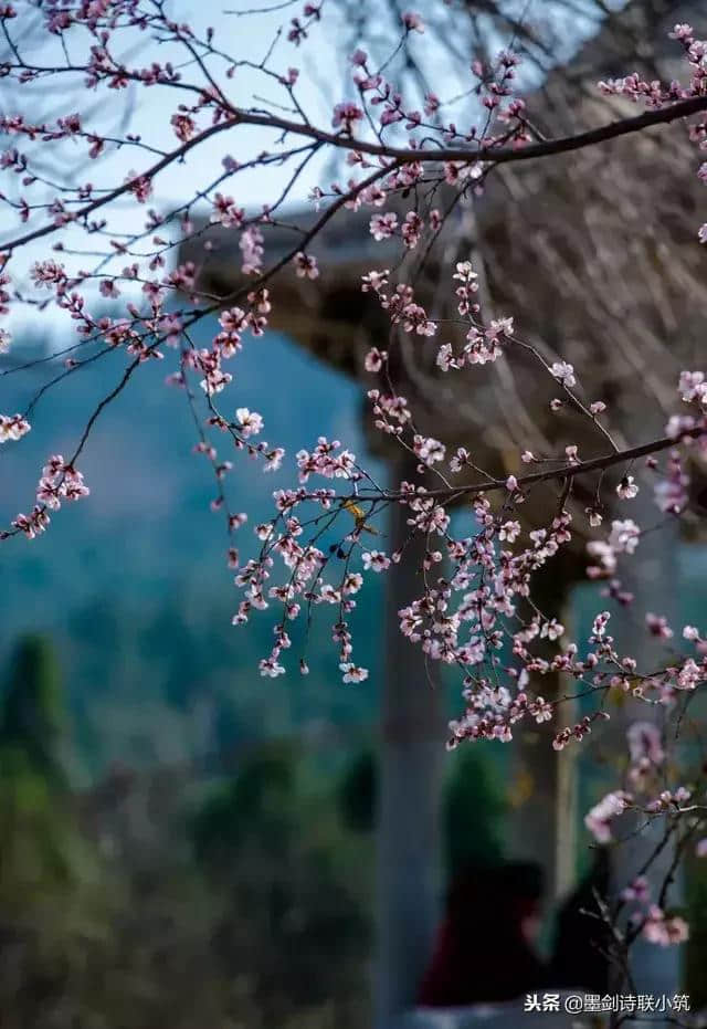 墨剑出句：袖手旁观花落去；恭请下联！