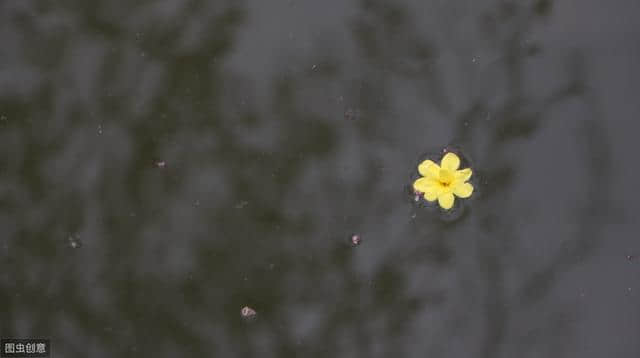 花自飘零，水自流