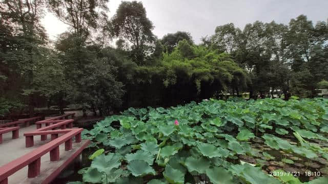 成都市郫都区望丛祠