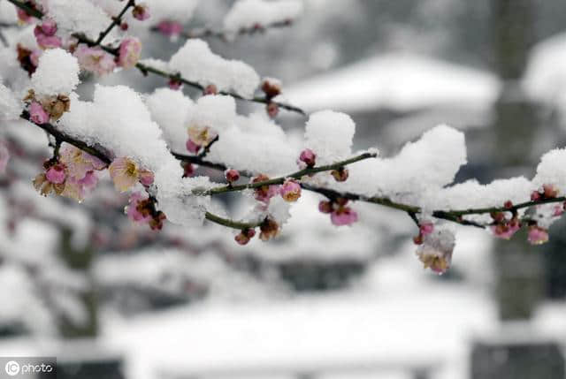 花自飘零水自流。一种相思，两处愁。无计可消，上心头