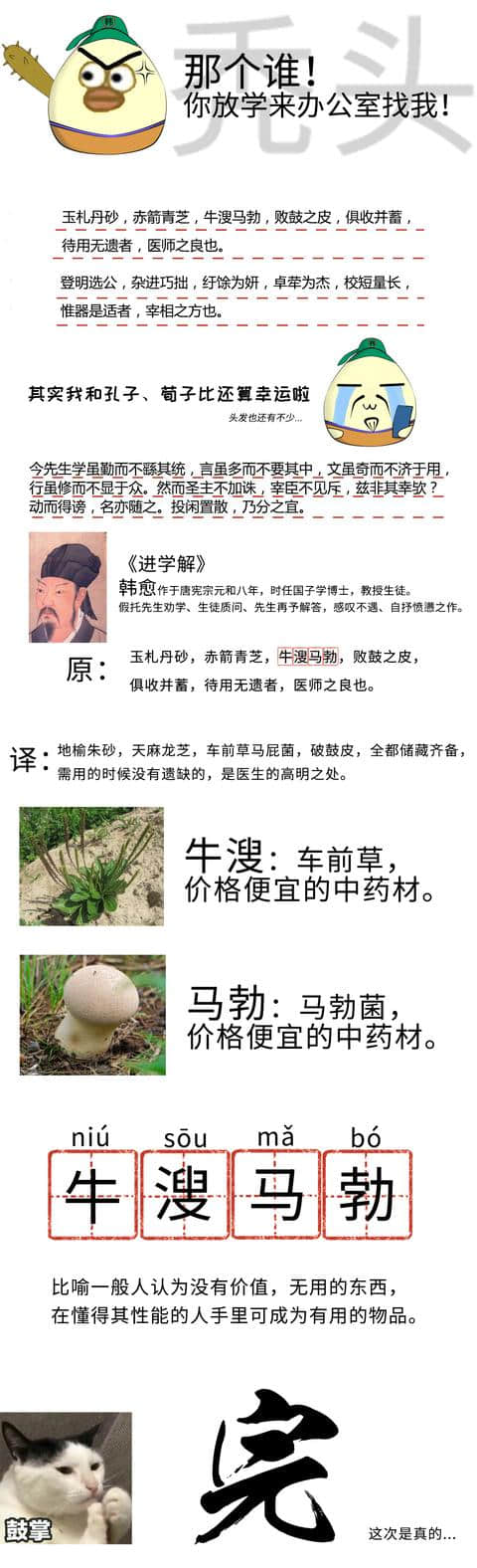 用正确的姿势学成语-牛溲马勃