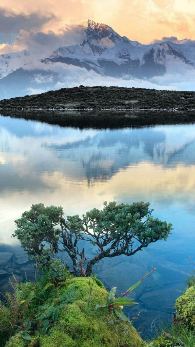 朱自清《绿》