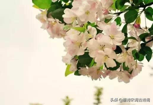 朱淑真的《断肠词》到底有多“断肠”