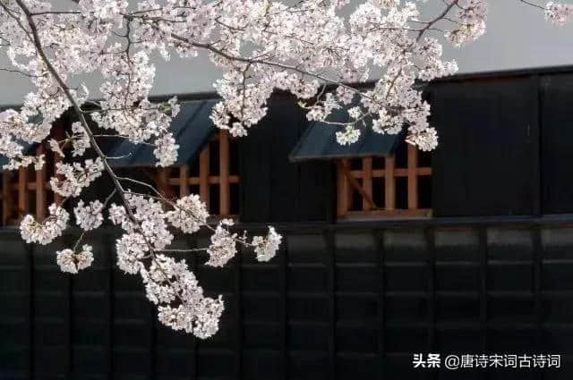 朱淑真的《断肠词》到底有多“断肠”