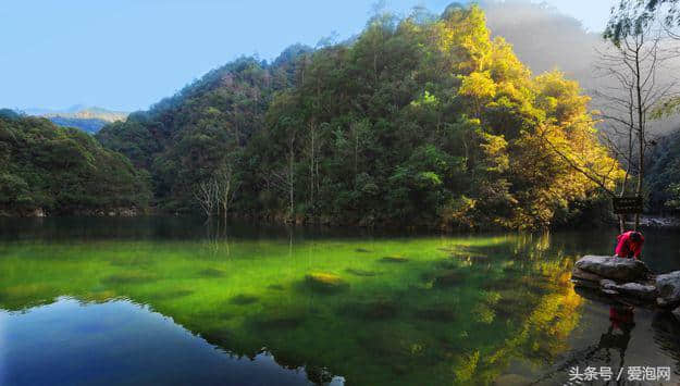 武义牛头山｜隐匿于喧嚣的江南小九寨，浙江中部最高峰，避暑圣地