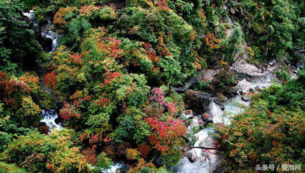 武义牛头山｜隐匿于喧嚣的江南小九寨，浙江中部最高峰，避暑圣地