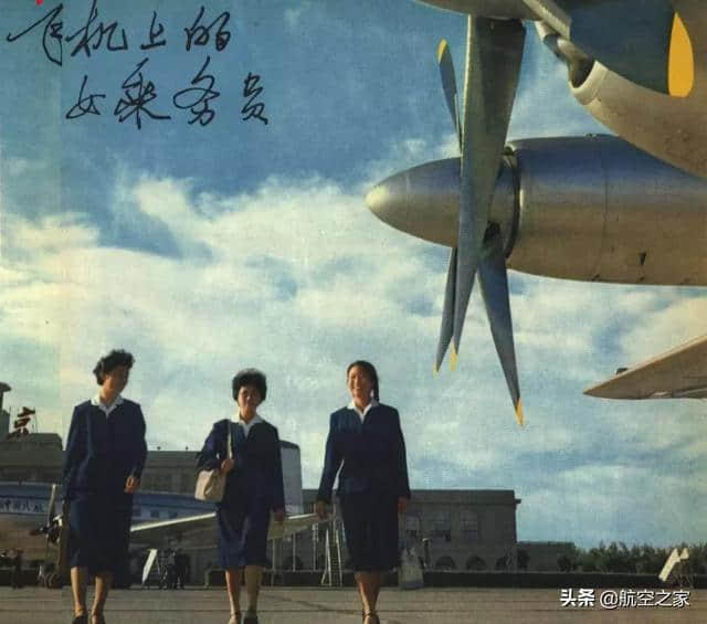 航空百科 空中乘务员为何大多都是女性？