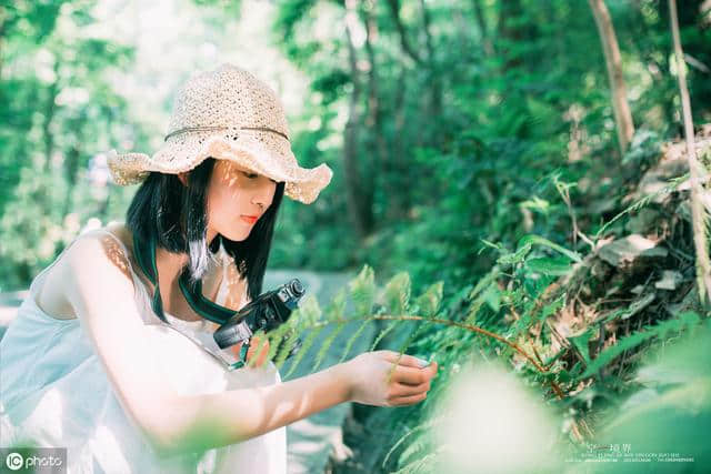 红尘如梦,花自飘零