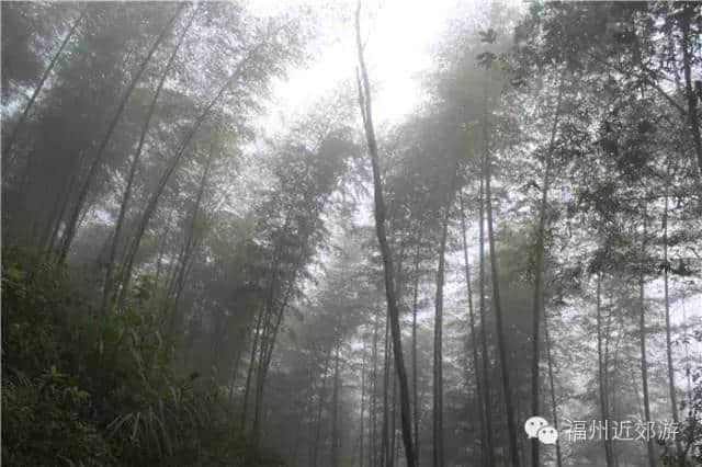 天了噜，《卧虎藏龙》《西游记》都在南平这座宝山里取景过！