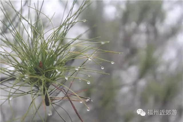 天了噜，《卧虎藏龙》《西游记》都在南平这座宝山里取景过！