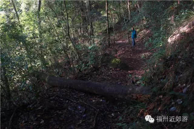 天了噜，《卧虎藏龙》《西游记》都在南平这座宝山里取景过！