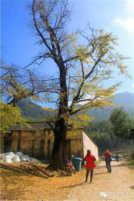 天了噜，《卧虎藏龙》《西游记》都在南平这座宝山里取景过！