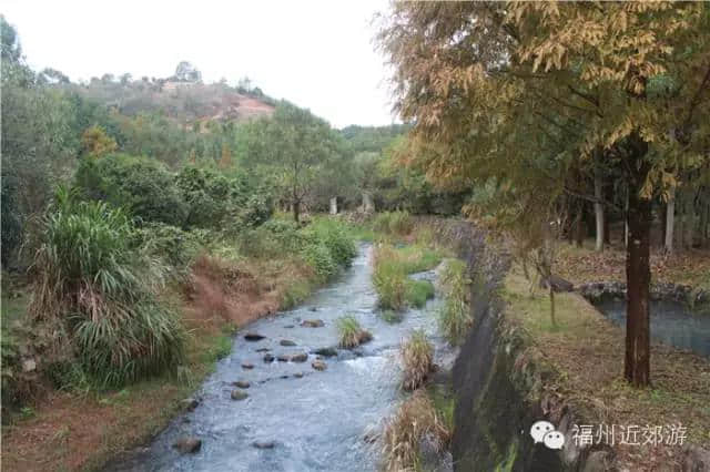 天了噜，《卧虎藏龙》《西游记》都在南平这座宝山里取景过！