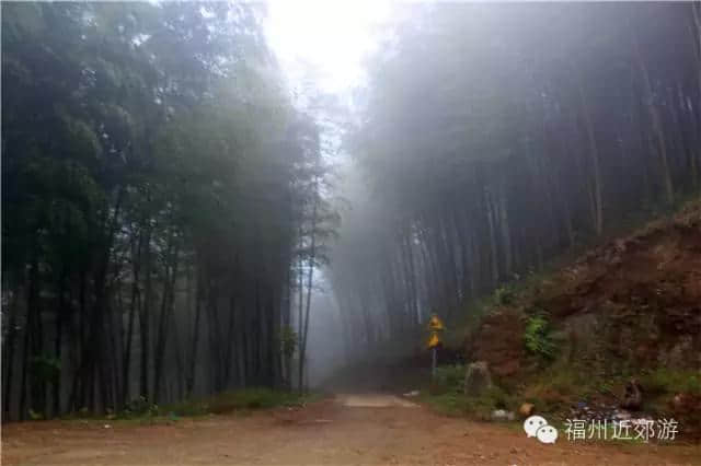 天了噜，《卧虎藏龙》《西游记》都在南平这座宝山里取景过！