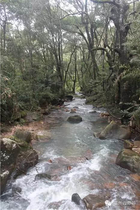 天了噜，《卧虎藏龙》《西游记》都在南平这座宝山里取景过！