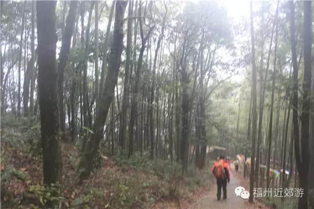 天了噜，《卧虎藏龙》《西游记》都在南平这座宝山里取景过！