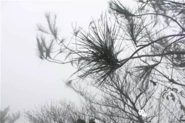 天了噜，《卧虎藏龙》《西游记》都在南平这座宝山里取景过！