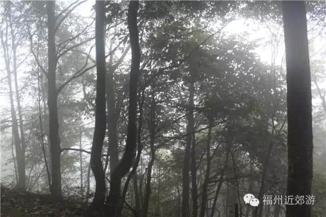 天了噜，《卧虎藏龙》《西游记》都在南平这座宝山里取景过！