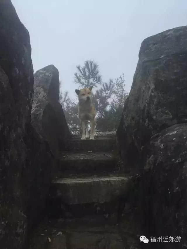 天了噜，《卧虎藏龙》《西游记》都在南平这座宝山里取景过！