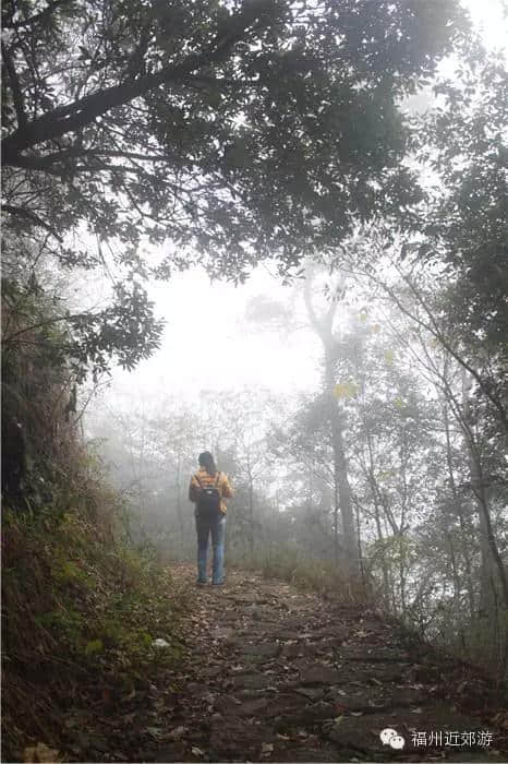 天了噜，《卧虎藏龙》《西游记》都在南平这座宝山里取景过！