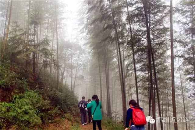 天了噜，《卧虎藏龙》《西游记》都在南平这座宝山里取景过！