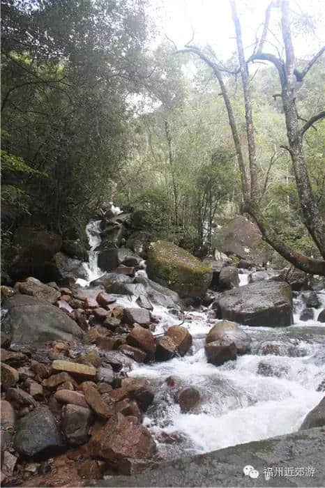 天了噜，《卧虎藏龙》《西游记》都在南平这座宝山里取景过！