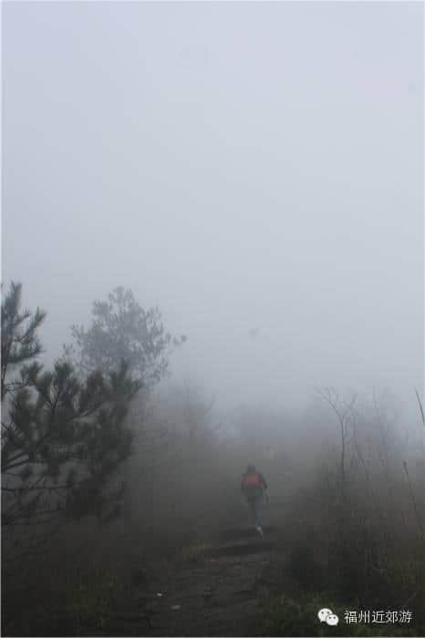 天了噜，《卧虎藏龙》《西游记》都在南平这座宝山里取景过！