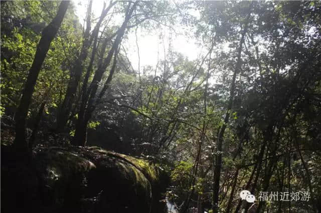 天了噜，《卧虎藏龙》《西游记》都在南平这座宝山里取景过！