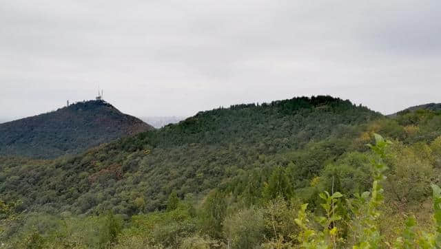 西子林:八月十六日登襄阳望楚山扁山虎头山