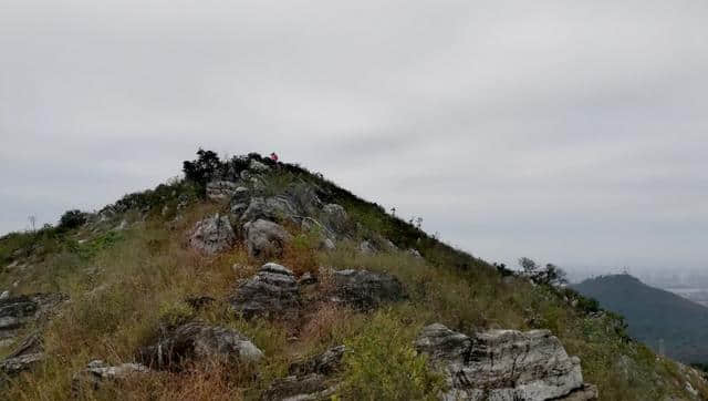 西子林:八月十六日登襄阳望楚山扁山虎头山