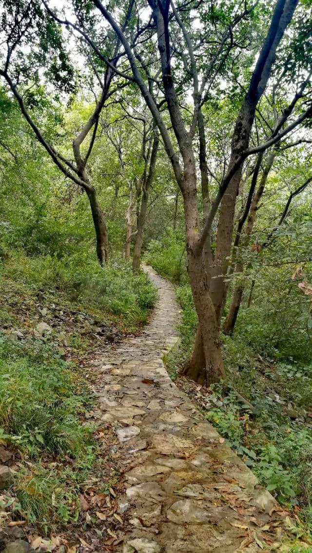 西子林:八月十六日登襄阳望楚山扁山虎头山