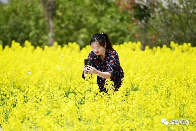 【悦读】太美了！肥西这些地方春景美如画（内含高清大图）