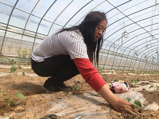 宜川：美丽月亮湾 富裕王湾人