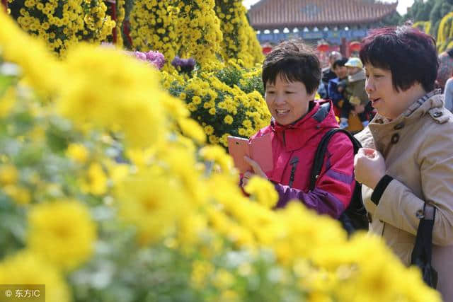 重阳节的习俗 吃糕饮酒插茱萸